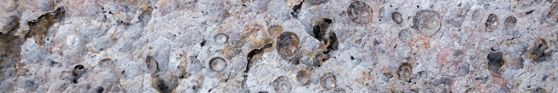 ATHLETE 45LL MEBARU TUNE