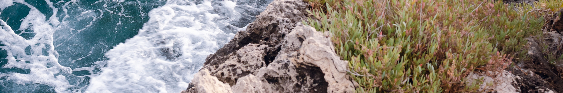 BAY RUF MANIC 135 SLOW