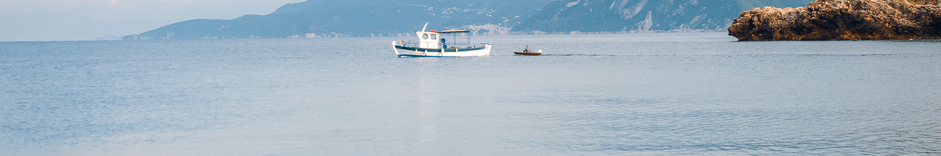 BAY RUF MANIC 155 SLOW