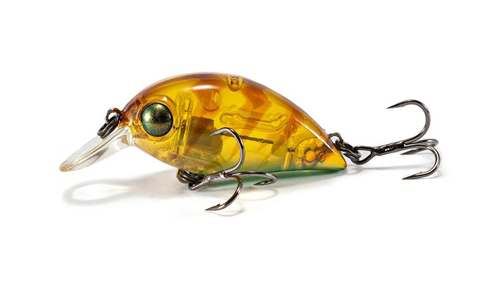 HICKORY SSR