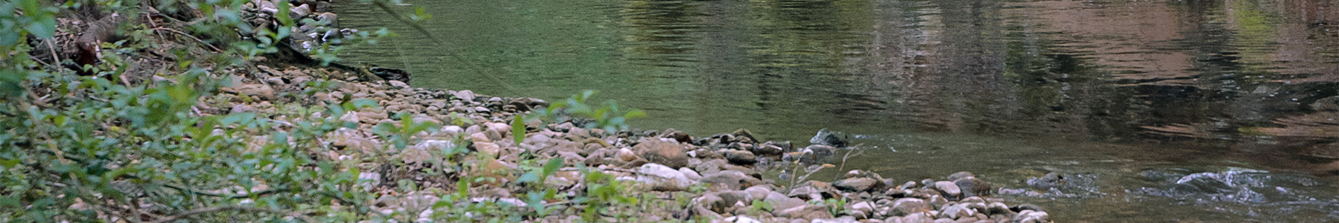 LAST CAST MAGNET CARABINER