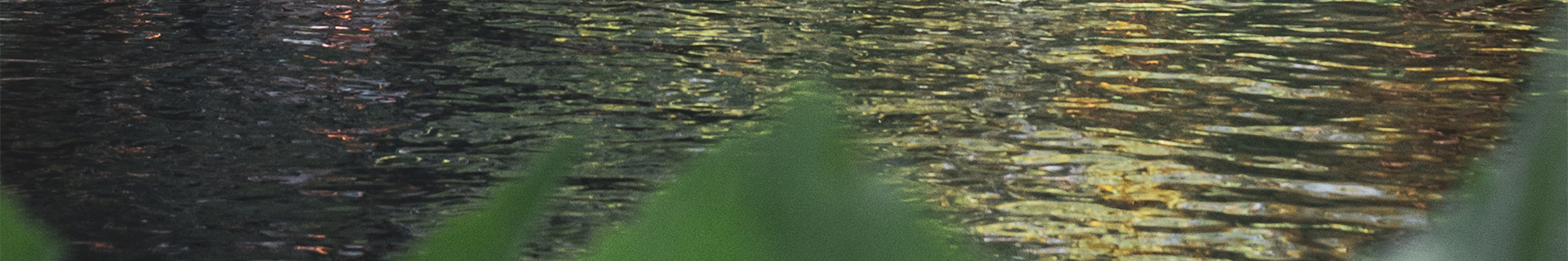 LAST CAST SAFETY LANYARD