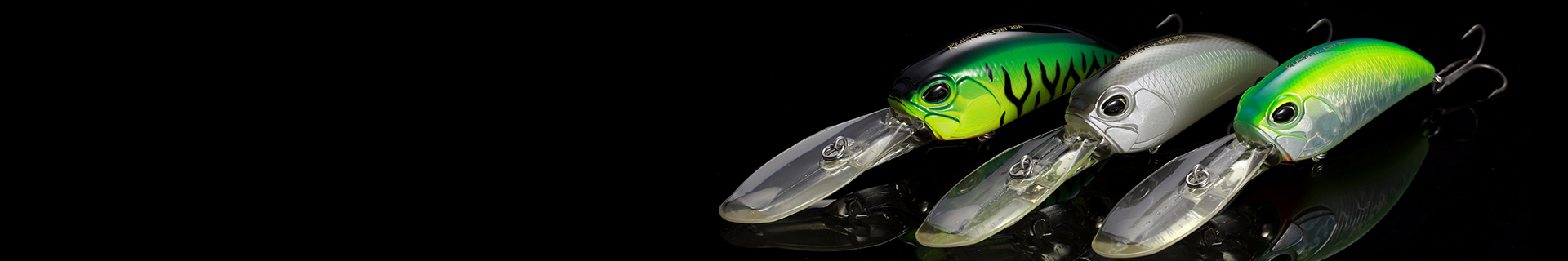 LURE CASE