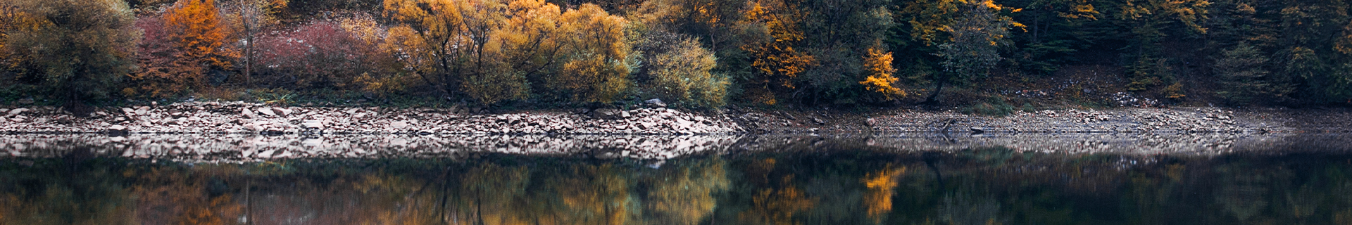 duo REALIS CRANK M65 11A