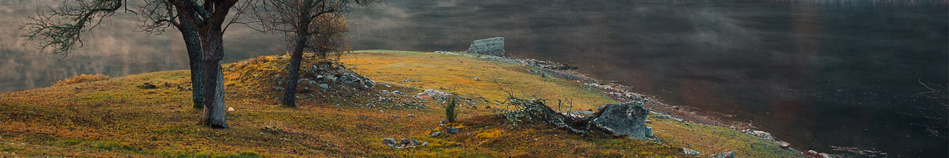 REALIS FANGBAIT 80DR