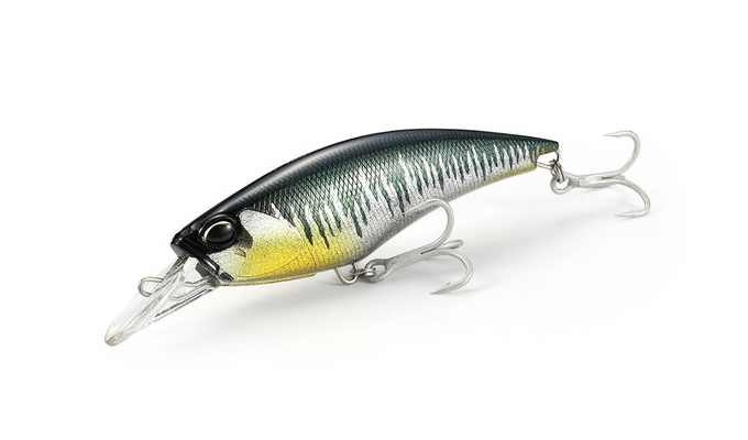 REALIS FANGSHAD 140SR 