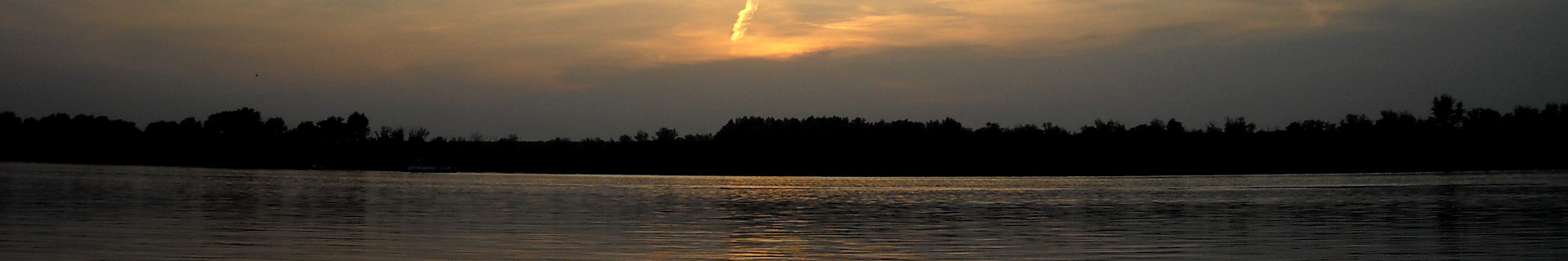 REALIS JERKBAIT 100DR