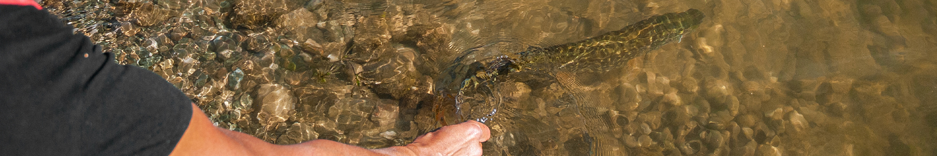 REALIS JERKBAIT 130SP