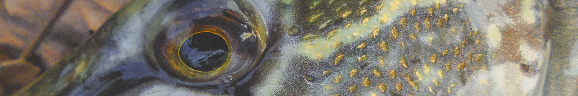 duo realis rozante 77 sp