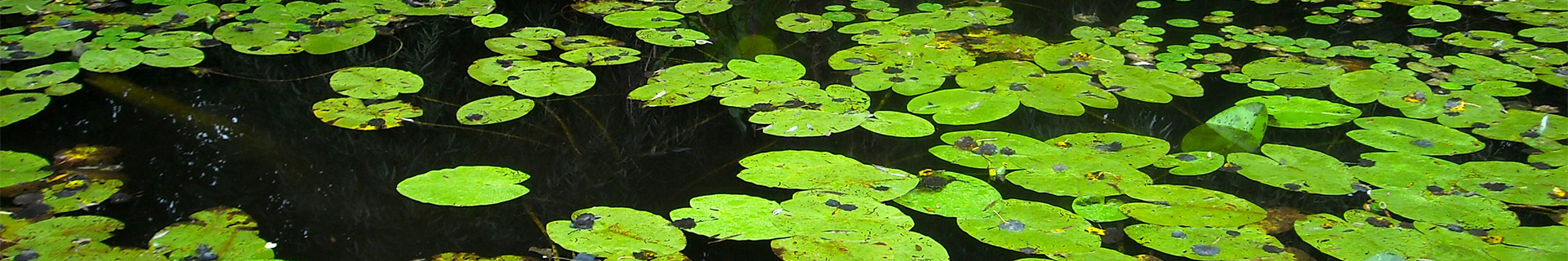 REALIS WRIGGLE CRAWLER 2.8