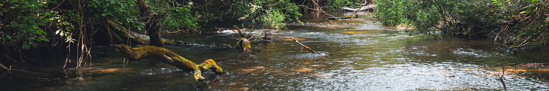 RETRACTOR DOUBLE SNAP