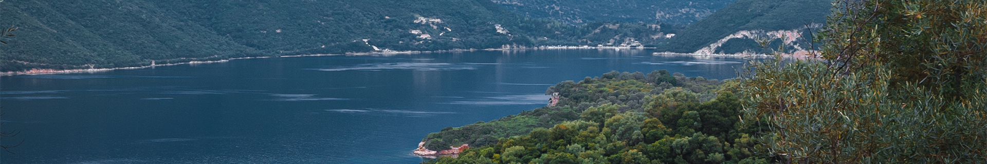 ROUGH TRAIL AOMASA LIGHTNING 190F