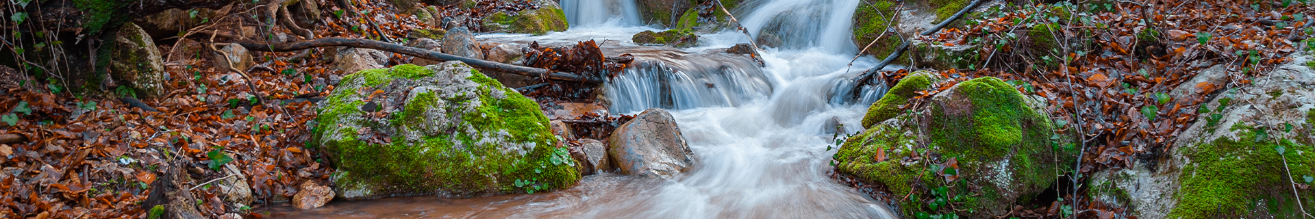 duo spearhead ryuki 46s