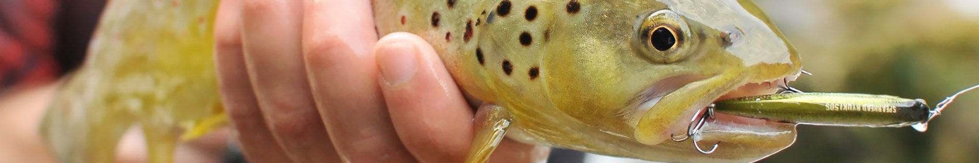 duo spearhead ryuki 50s