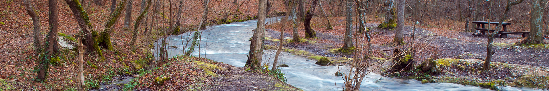 SPEARHEAD RYUKI SPINNER 3.5gr