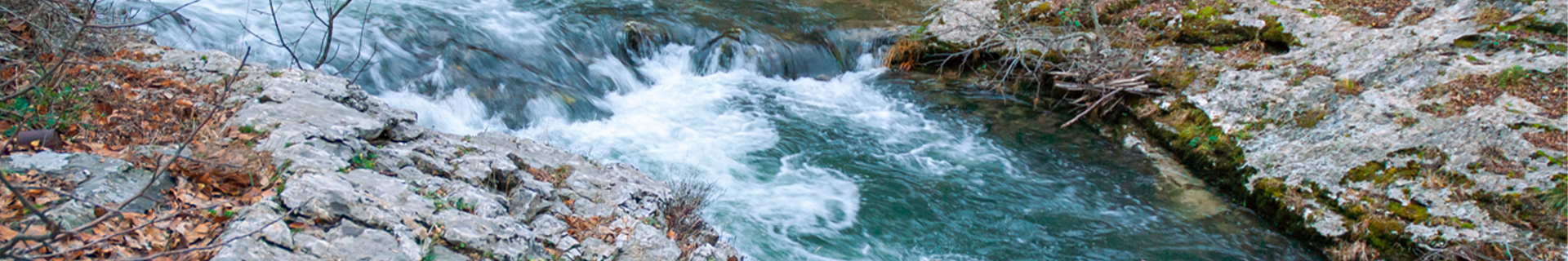 SPEARHEAD RYUKI SPINNER 5gr