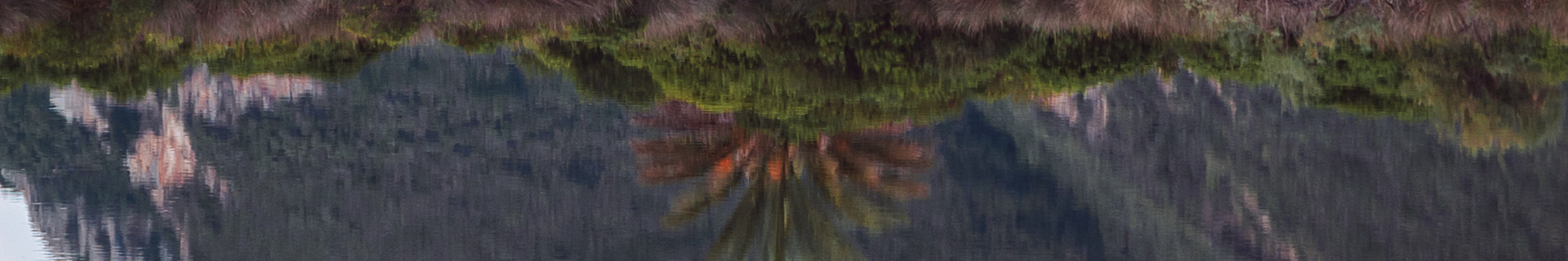 TETRA WORKS TOTO FAT 35F