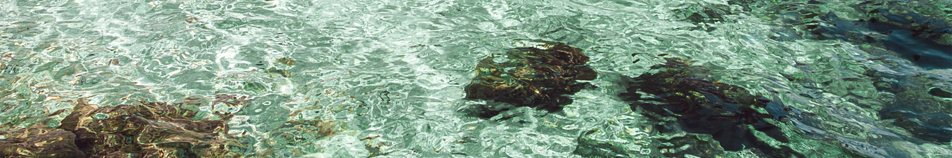 TIDE MINNOW 110S LANCE