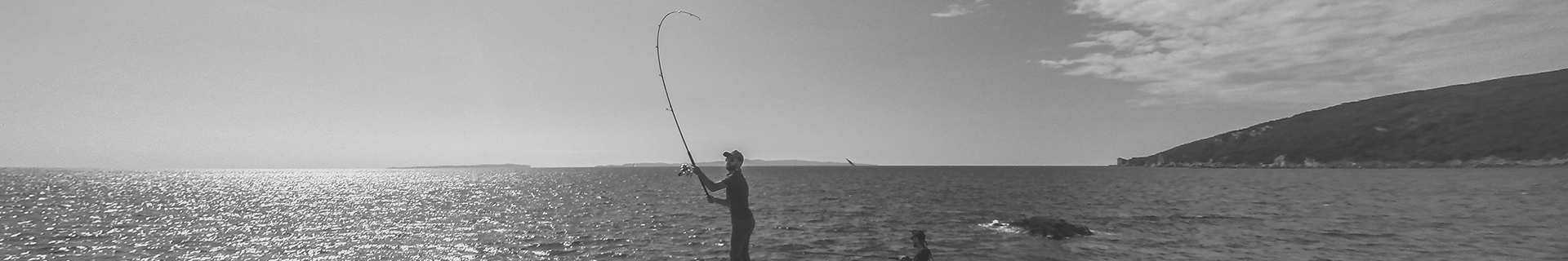 TIDE MINNOW 175 FLYER