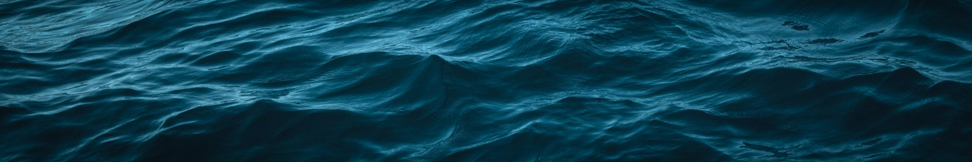 duo tide minnow flyer 200