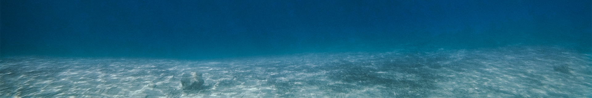 TIDE MINNOW SPRAT 140F