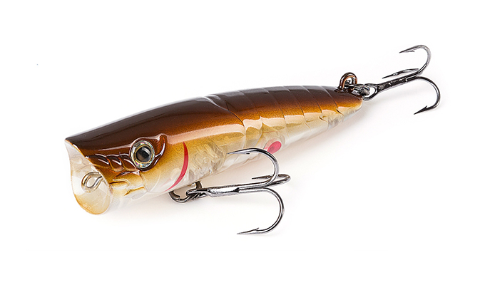 ZBL POPPER 