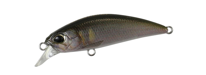 RP Ayu 45S RP Ayu 45S