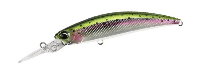 Rainbow Trout 70MDF