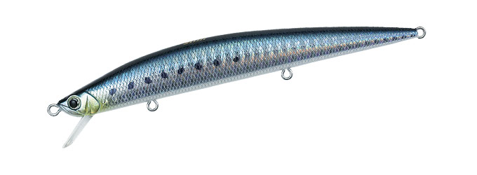 Sardine 120 Slim Sardine 120 Slim