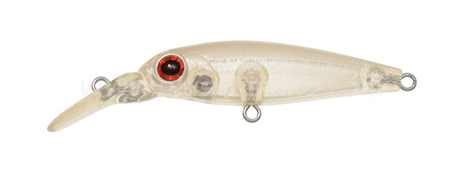 Py Shad SLK Py Shad SLK