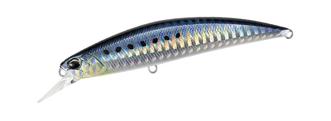 AHA0011 Sardine 95 SW AHA0011 Sardine 95 SW