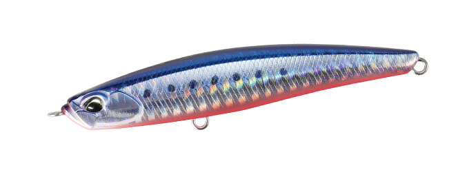 Mazume Sardine 85