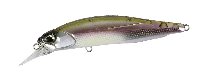DSH3061 Komochi Wakasagi