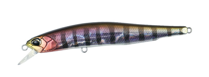 Prism Gill 80SP Prism Gill 80SP