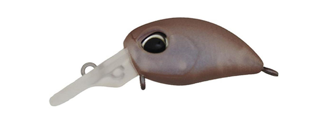 Haze Nano F Jewel Chocolate