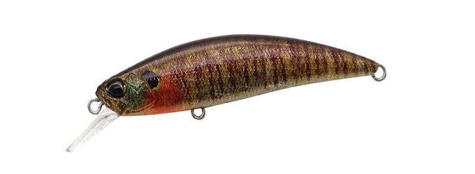 True Gill 50S True Gill 50S