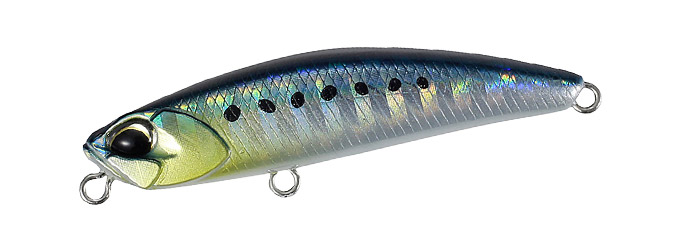 Yurameki Sardine