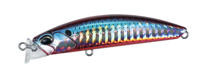 Mazume Sardine DC7