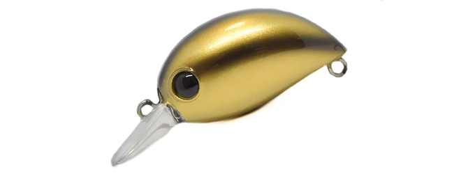 Baby Hickory SR #050 Baby Hickory SR #050
