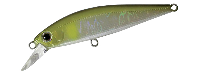 Rigge Flat 50S #191