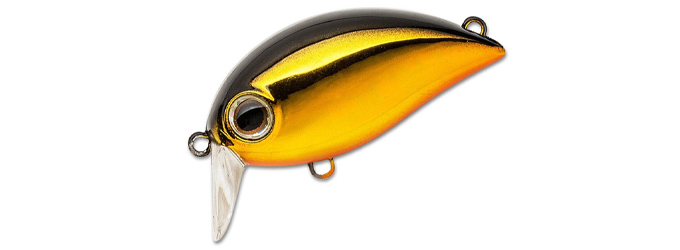 Hickory SSR #050