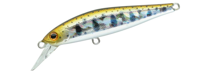 Rigge Flat 60S #810