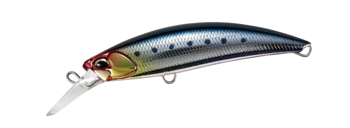 Blazin 70 Genkai Sardine Blazin 70 Genkai Sardine
