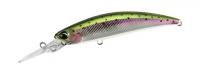 Rainbow Trout 70MDF