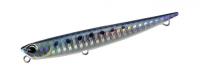 Sardine 99