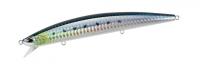 Sardine 140 Sprat