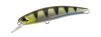 Archer Fish 140SR