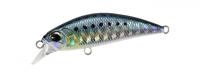Sardine 50SW