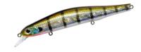 Orbit 110SP #509