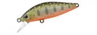 Rigge Flat 45S #126